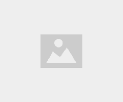 Nursing Essay Help for Academic Writing Support